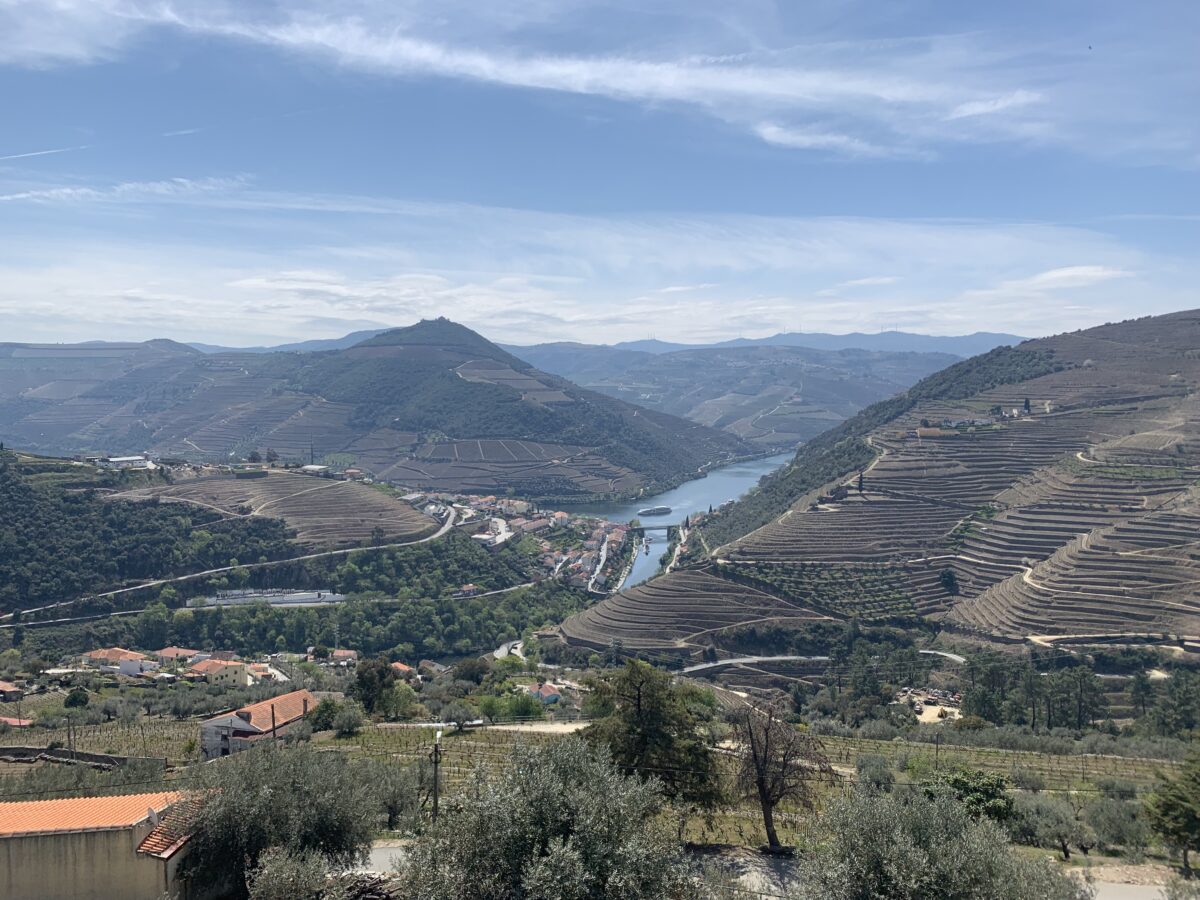 Rolling hills covered in vineyards spread out with a few red tiled roofs and the douro river running between them