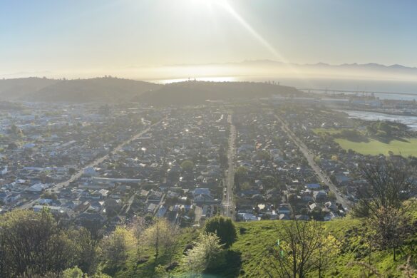 Panoramic of Nelson central with grid streets, two green hills on either side and Tasman bay in the background