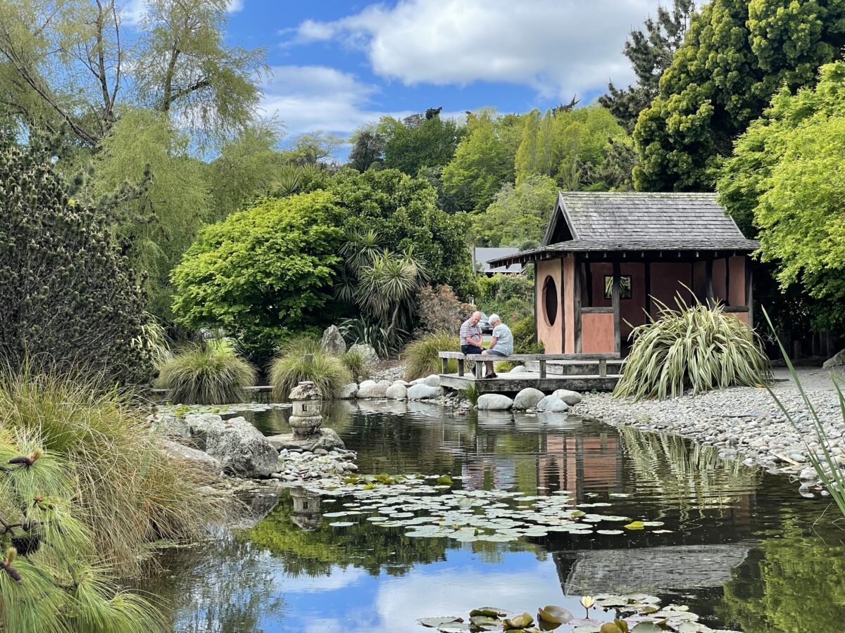 A pond in a Japanese garden with water lillies and stone lanterns, and a red clay building to the right
