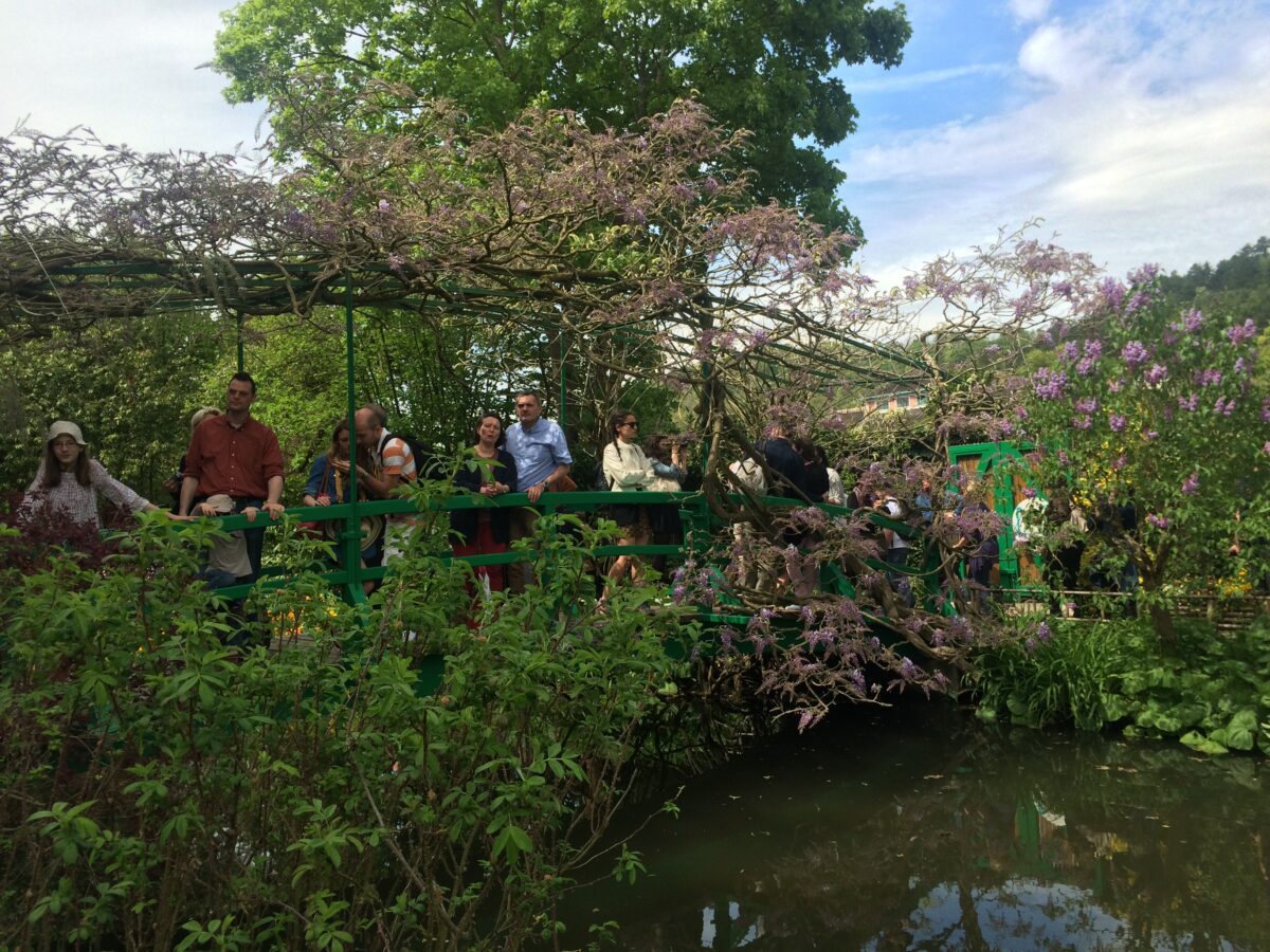 A bridge over a pond, covered in ivy plants and flowers