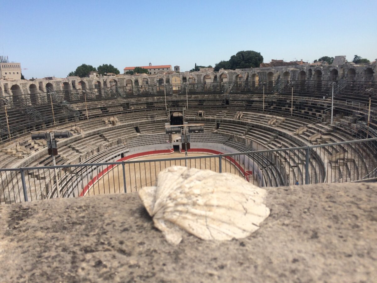 A stone wall ledge with a shell in it in the foreground with a full colosseum arena behind