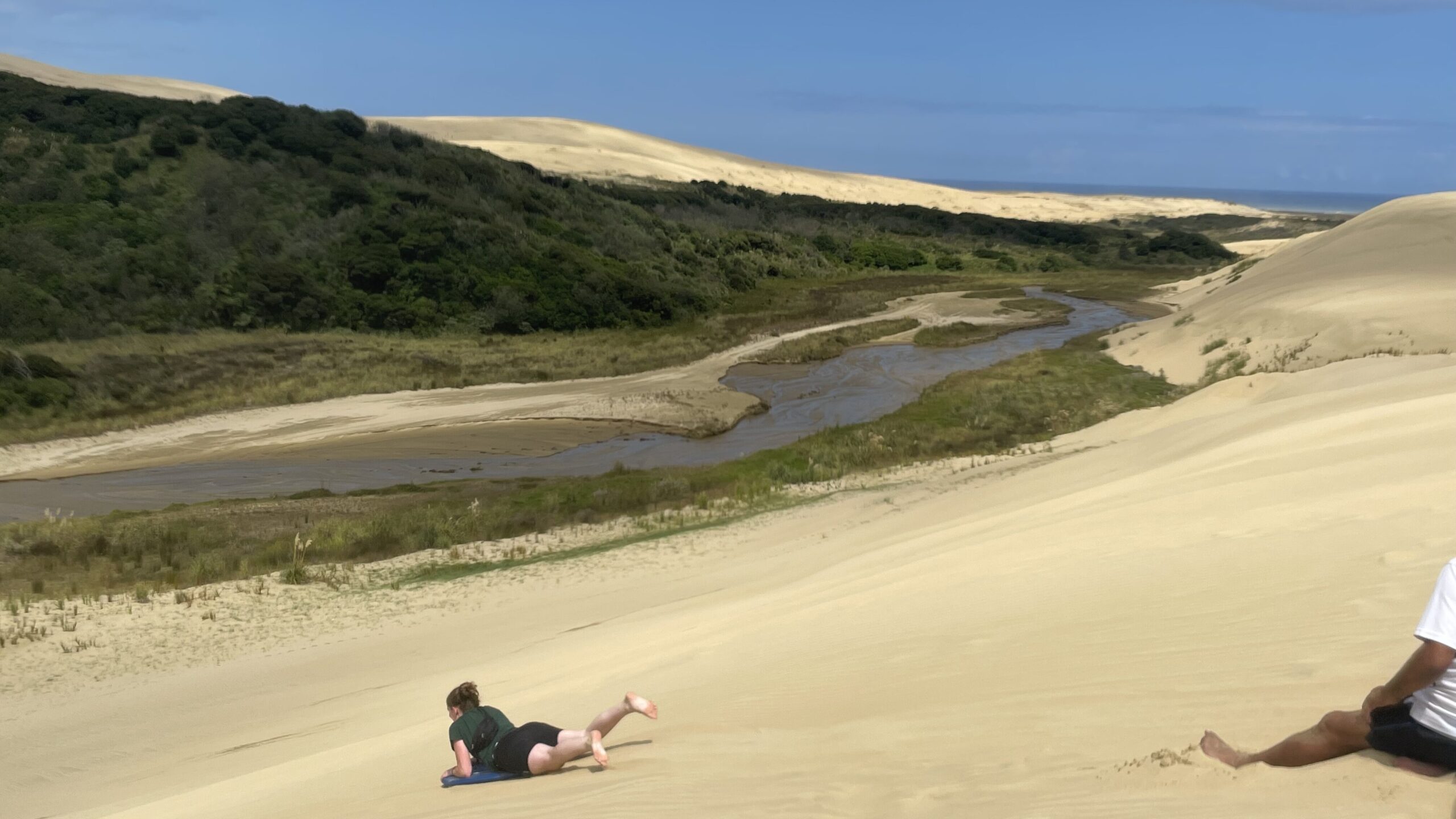 On top of a giant sand dune, someone is sliding down the dune on a sandboard with a river at the bottom and lush forest on the other side