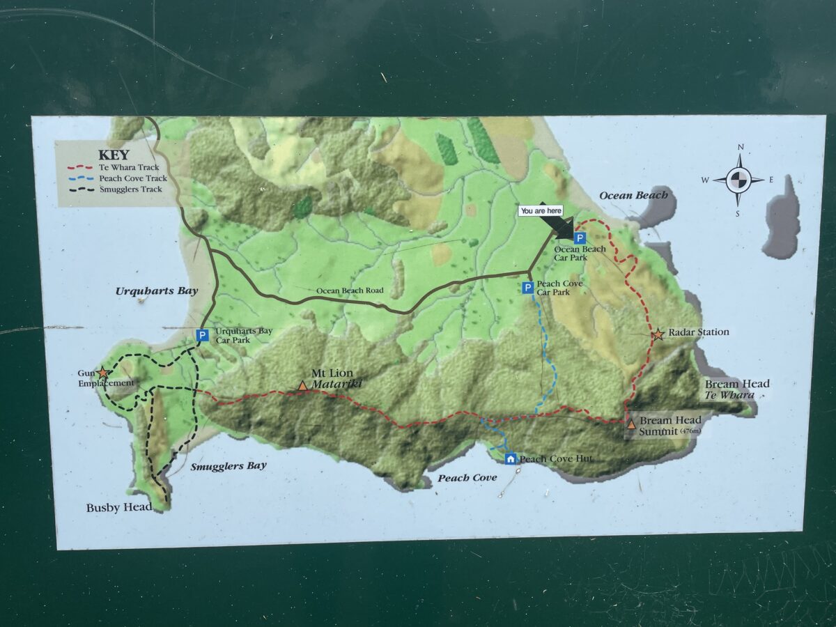 A map of tracks at Whangarei Heads