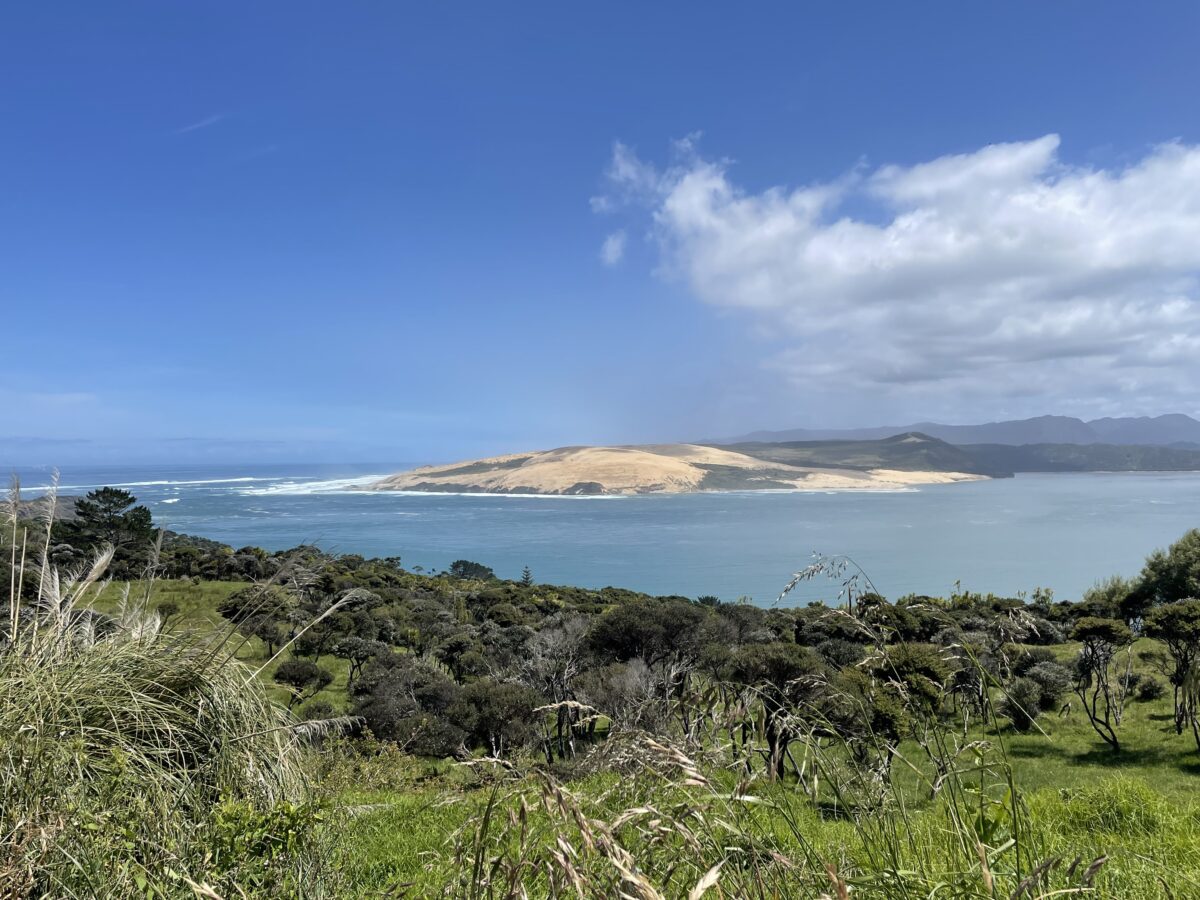 Green New Zealand bush in the foreground looking over a water inlet with the Tasman Sea on the left and a sand dune on the other side