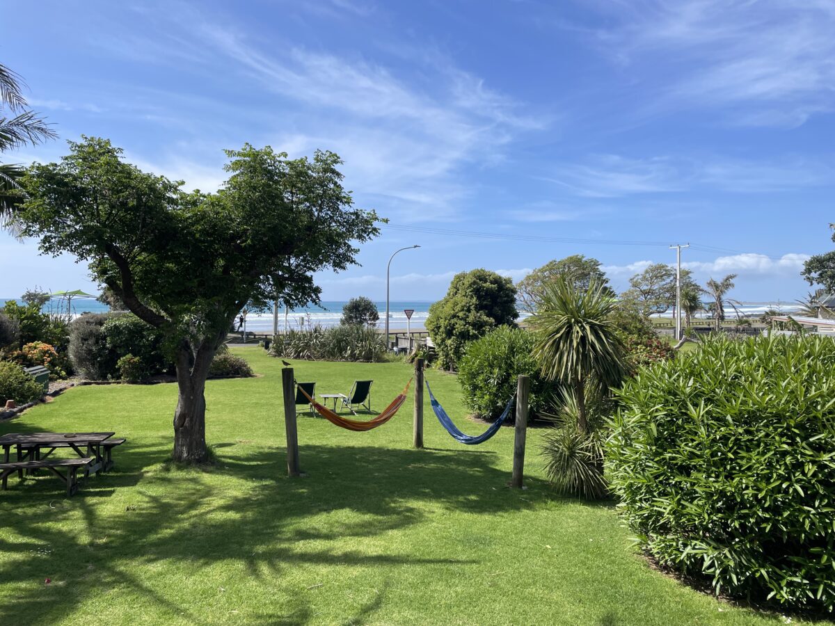 A green lawn with two hammocks hanging between trees with the ocean in the distance