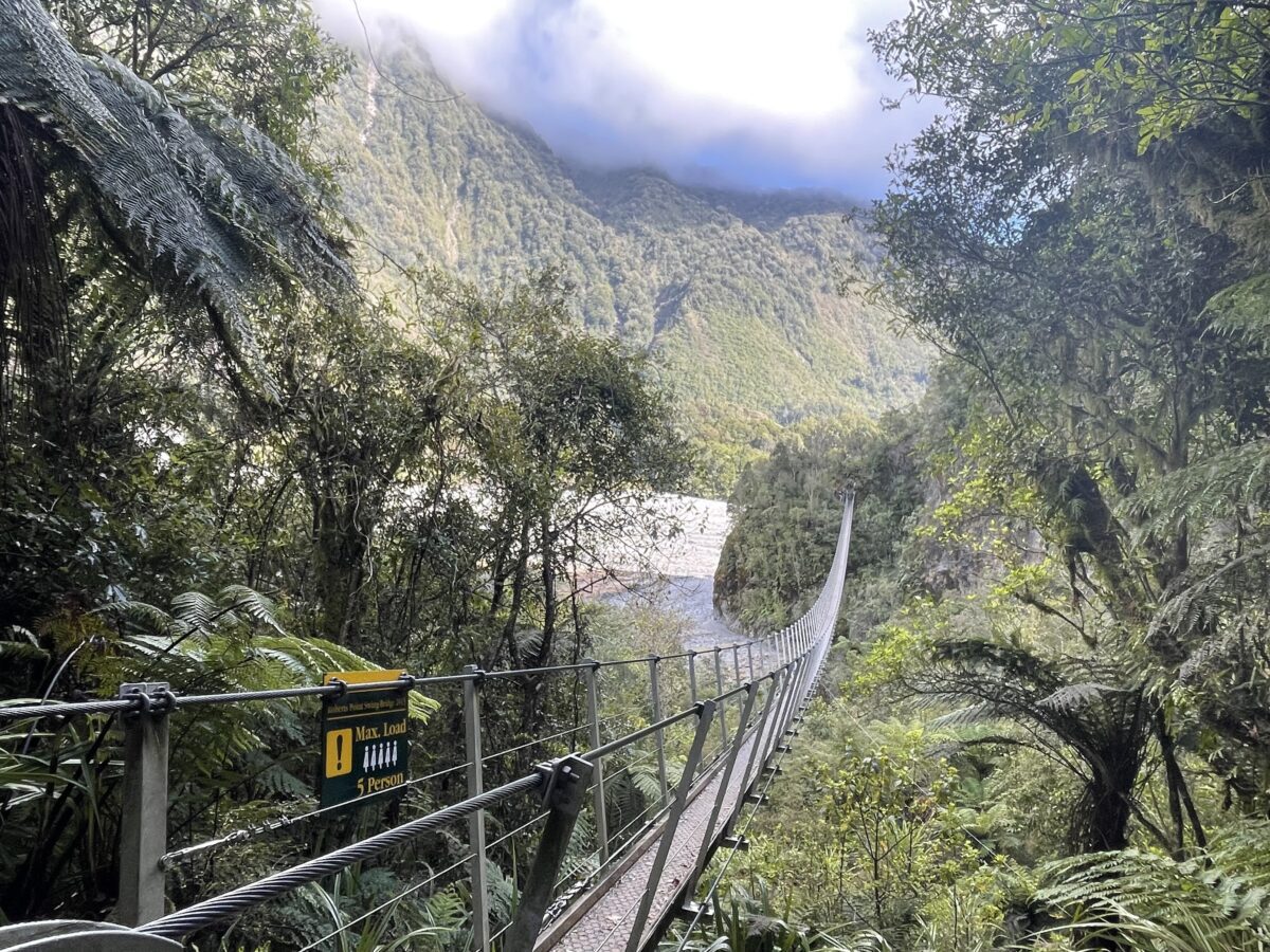 Suspension bridge hangs over a large valley with native New Zealand bush and ferns on either side and mountains across the way