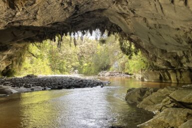 A cave opening from the inside with a river running through it and New Zealand bush on the outside